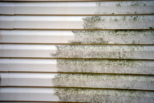 Best Hoarding Cleanup  in Monticello, GA